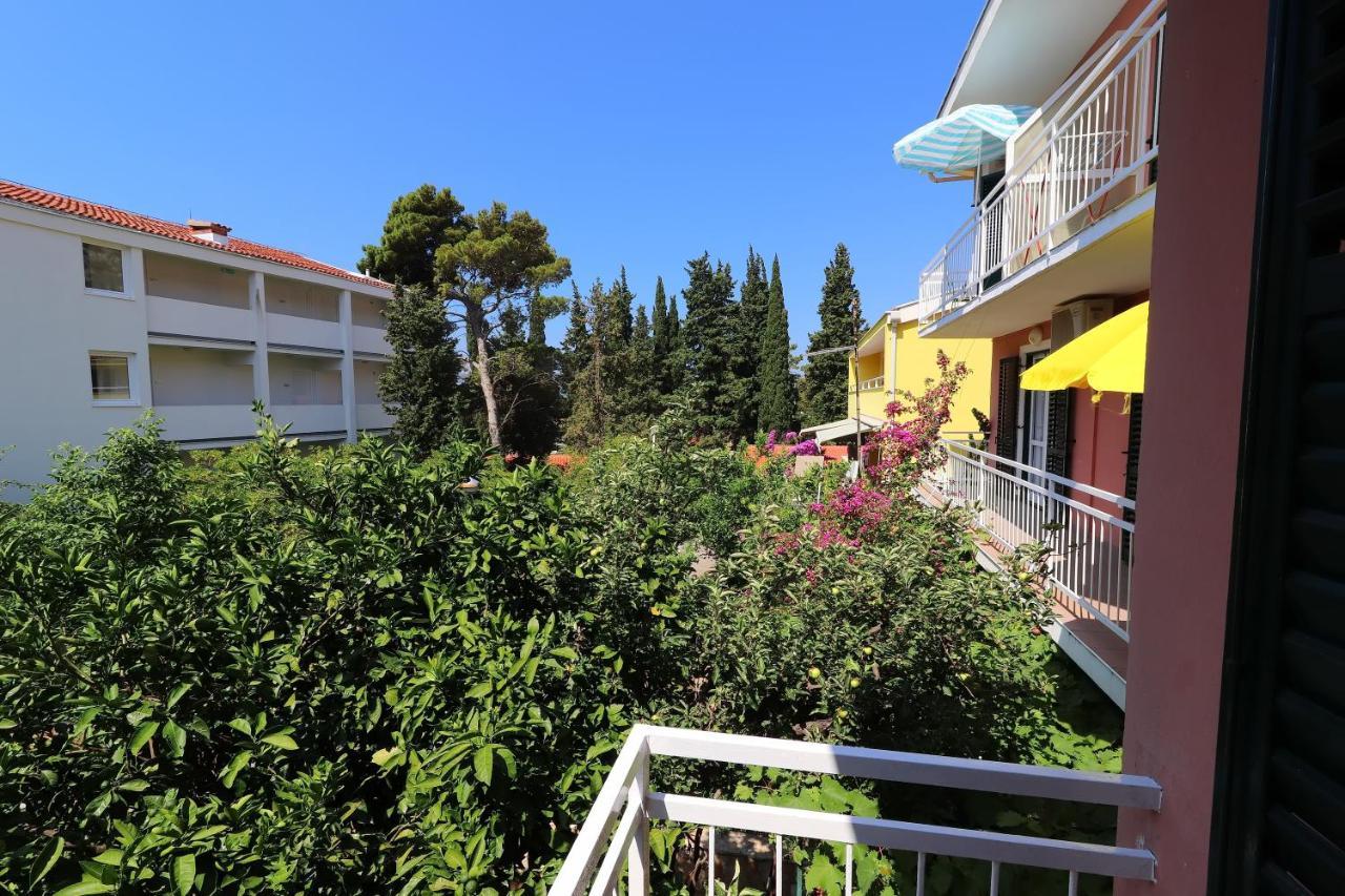 Apartmani Dusanka オレビック エクステリア 写真