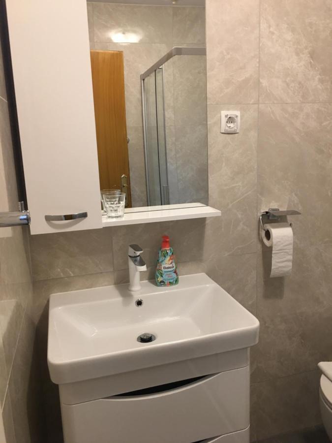 Apartmani Dusanka オレビック エクステリア 写真