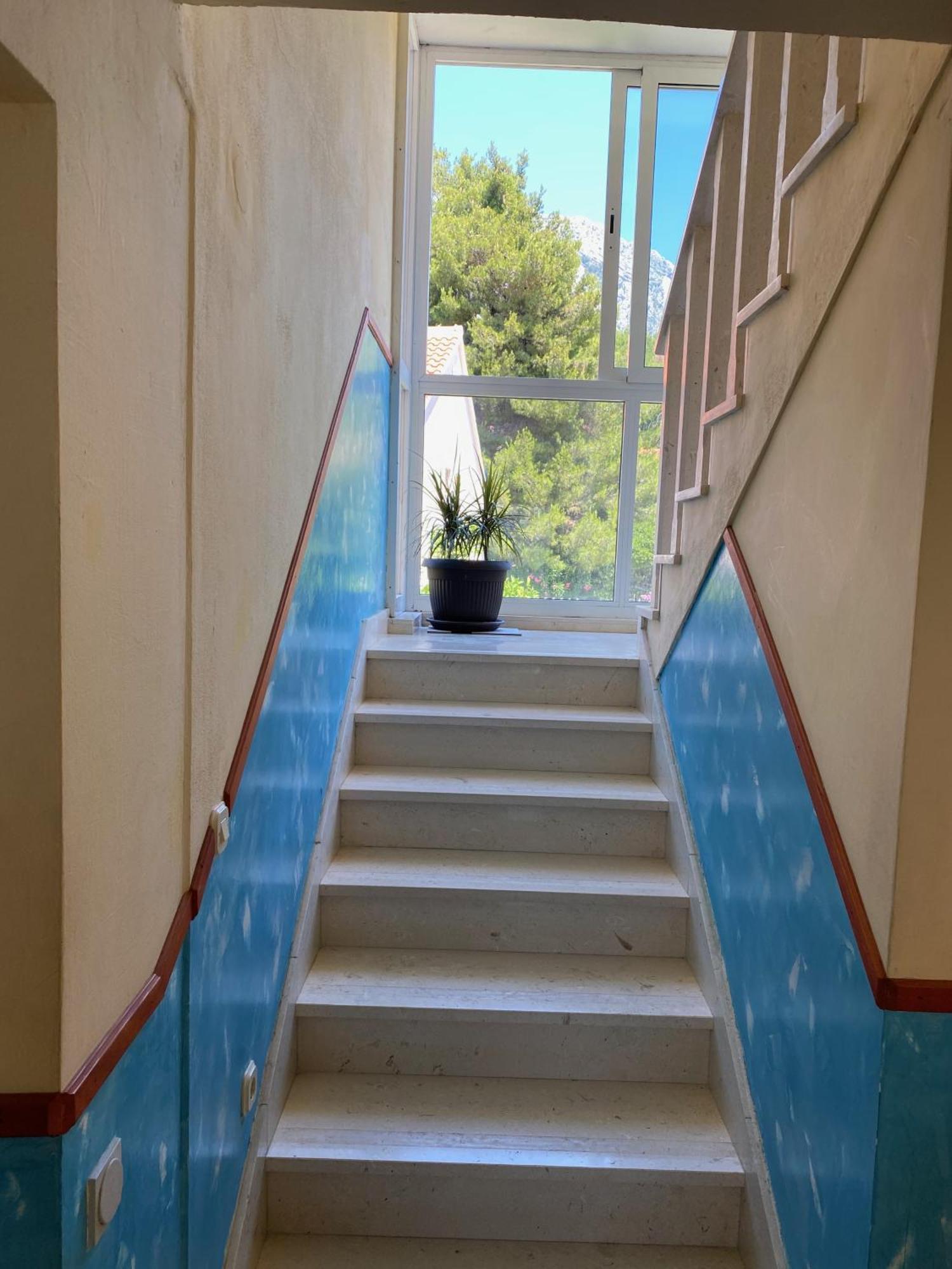 Apartmani Dusanka オレビック エクステリア 写真